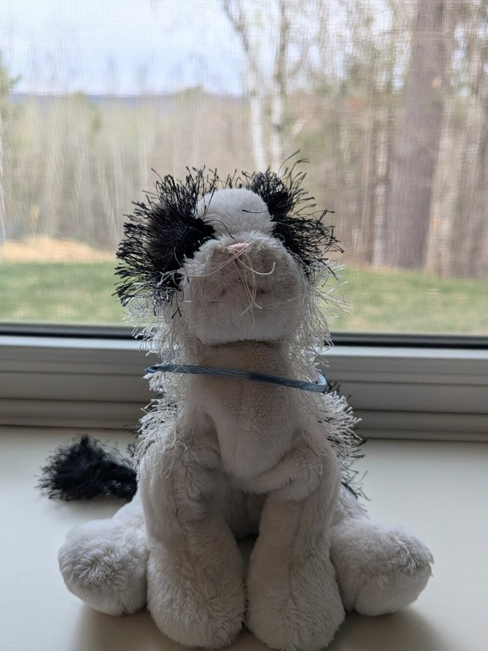 Webkinz - Black & White Cat - no code
